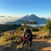 wongpusat