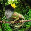 daimalux