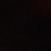alexandro_795