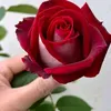 user49771788708130