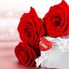 kashafhaseeb1