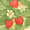 berryjamjam2