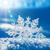 snowqueen1111