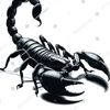 scorpion_kazakhstan
