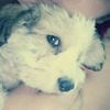 edithquispe001