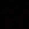 chagas_55