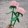 aliashqinh