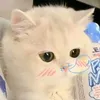 hellogoodbye6677