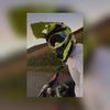 _rkristof