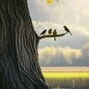 imran_2256