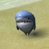 celiatheshark