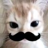 jj4malover