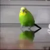 geometrydashnoob7