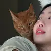 sj_chry