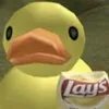 davizzen_duck