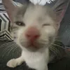 natkaaaa_1