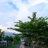 lhelaadeng21