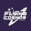 flyingcosmos_37