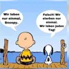 mario_3693
