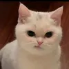 faauzii5