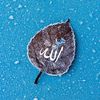 ahmedabualshwish