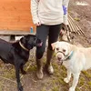 countrygirl_atheart0