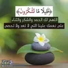 abohammody22