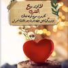 user711049040