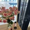 aisha98___