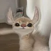nganhoai281