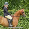 ed.equine_