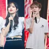 WangYiboChengXiao