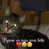 tiaanissa22