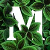 ngoc.mai222