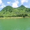 duonghuyen81