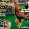 user68380670
