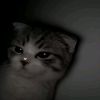 user515992275