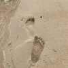 zzenggzzongg