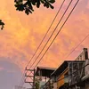 thanhthao_13101