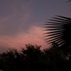 kanwal_78602