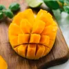 mangoyakult.22