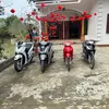 biennguyen486