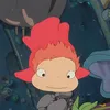 barusukacita