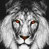 kheyr.tv.000