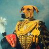 mr.donoscar