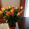 maria_71270