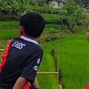 sem1putr4