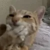 itsjovvvv