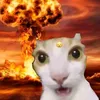 rory_muffin