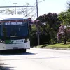 maurcio9743